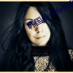 韓國skylife機頂盒