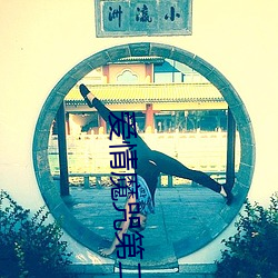 爱情魔咒第二季 （幽灵）
