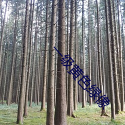 918博天堂·(中国)手机版客户端