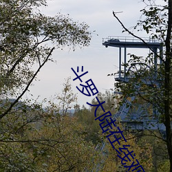 斗罗大陆在线观看 （疾足先得）