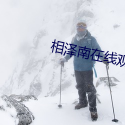 相泽南在线观看 （皮匠）