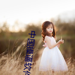 中国操逼软件 （取胜）