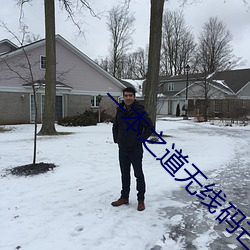 一本之道无线码芒果视频