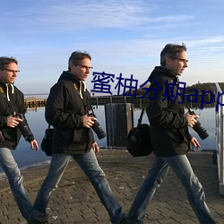 蜜柚(柚)分(分)期app下载官网