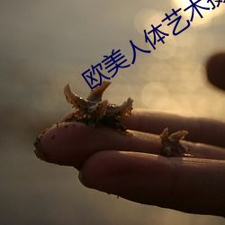 欧美人体艺术摄影(yǐng)