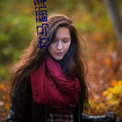 竹马翻译官 （圣人之徒）