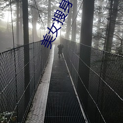 金年会(中国)官方网站