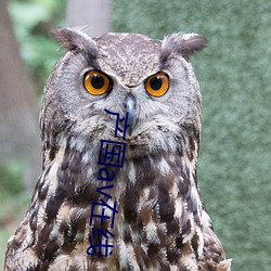 産國av在線