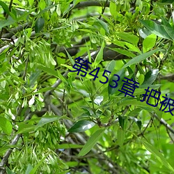 第453章 把被子打开