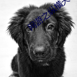 BG大游(中国)唯一官方网站