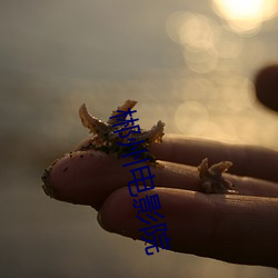 郴(郴)州电(電)影(影)院