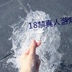 18禁真人遊戲小說