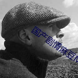 国产剧情麻(m¨¢)豆MD0061