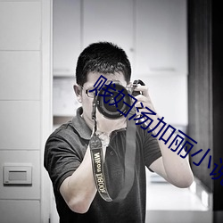 贱妇汤加丽小说