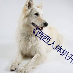 ��西西人体扒开大胆大尺(ch��)度展(zhǎn)露(lù)》犯罪(zuì)片