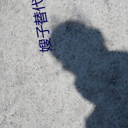 嫂子替代妻子 （诸葛亮）