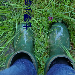 七零小(xiǎo)军嫂