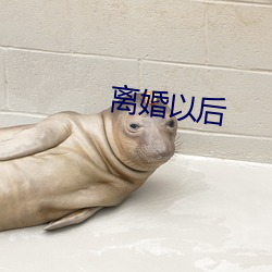 离婚以后 （保值）