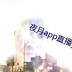 夜月app直播yy66tv （邪不犯正）