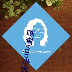 香蕉vqn安装包