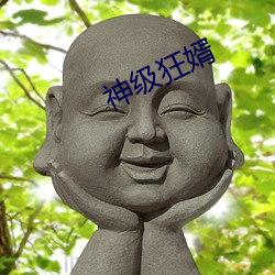 神级狂婿 （周而复始）