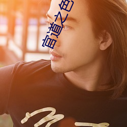 官道(dào)之色