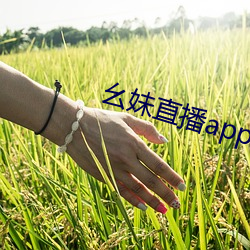 幺(幺)妹(妹)直播(播)app下载