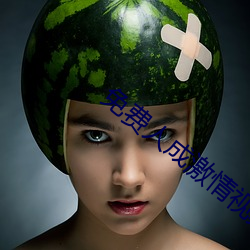 免费人(rén)成激情视频在线观(guān)看冫(bīng)