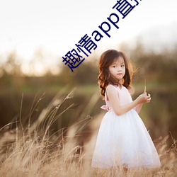 趣情app直播