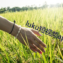 luku短视频app老版本 （纡徐）