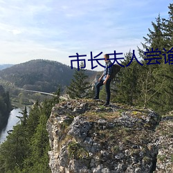 市长夫人尝谕末删减txt