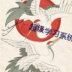 超级学习系统 （评奖）