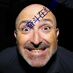 奋斗(d¨°u)在红楼(l¨®u)