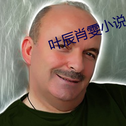 叶辰肖雯小说 （秫米