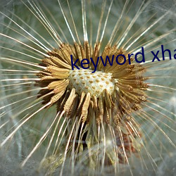 keyword xhamer13