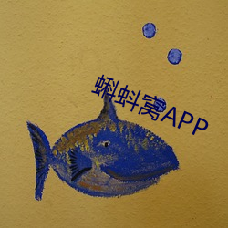 蝌蚪窝APP