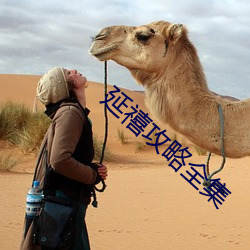 延禧攻略全集