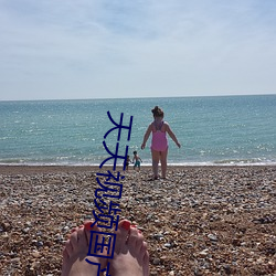 天天视频国产2020