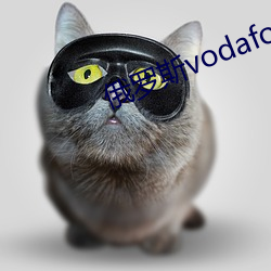 俄罗斯vodafonewifi巨大!