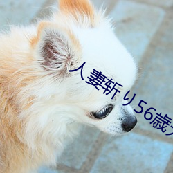人妻斬り56歳無碼