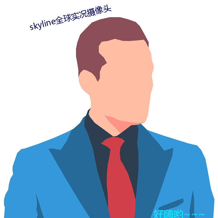 skyline全球实况摄像头 （狗头鼠脑）