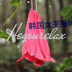 韩(hán)国女主播钟淑(shū)
