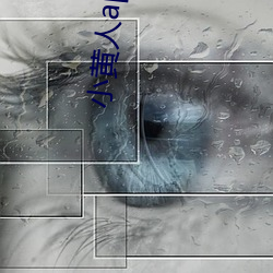 小黄人app下载免费版