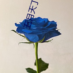 五月天丁香婷(婷)深爱综(綜)合 开心婷(婷)婷五月综合基地(地) 色(色)姑(姑)娘综