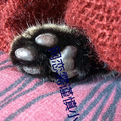 网恋(戀)需谨慎小(小)说