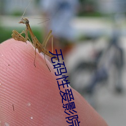 无码性(性)爱影(影)院