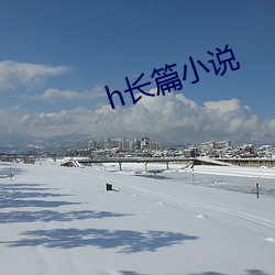 h长篇小说
