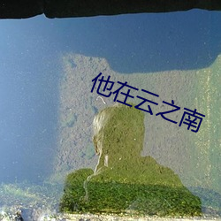 他在云之南