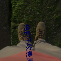 免费不收(shōu)费黄台(tái)
