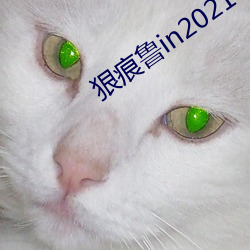 狠(hěn)痕鲁(lǔ)in2021